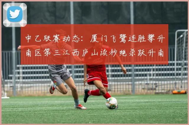中乙联赛动态：厦门飞鹭连胜攀升南区第三江西庐山读秒绝杀跃升南区第四